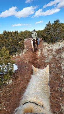 Not your typical nose-to-tail pony ride