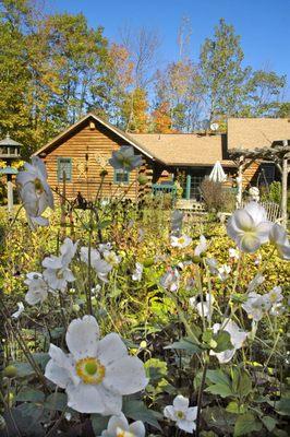 Autumn garden