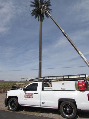 Maximum Exterminating knows no heights when it comes to getting the job done.