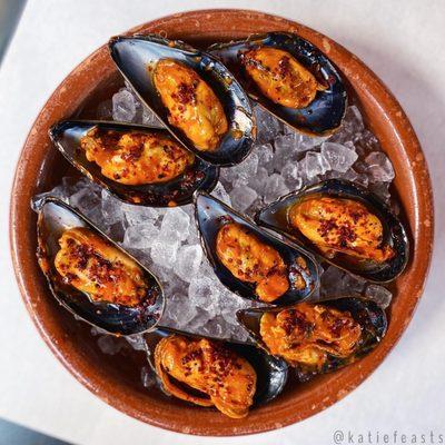 Spicy mussels escabeche