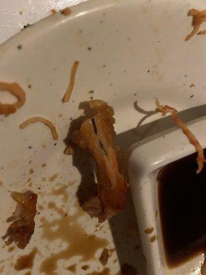 Poop in my shrimp