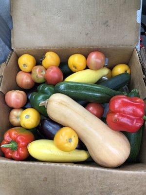 The $10 produce box is back. Picked this up on Friday, December 11.