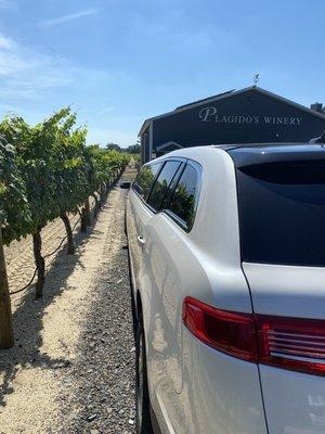 Wine tour at Plagido's Winery in Hammonton, NJ