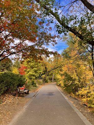 Early Oct & autumn colors starting at Lake Harriett