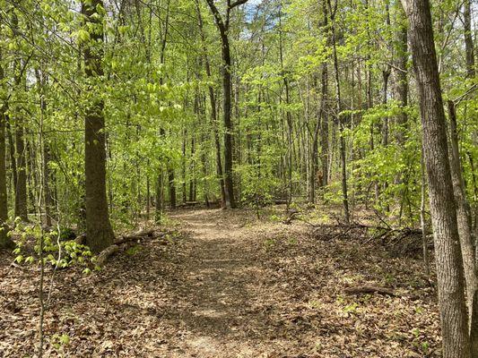 Bear Creek Lake State Park