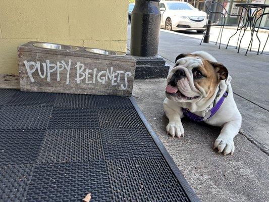 Maggie's loving the puppy beignets