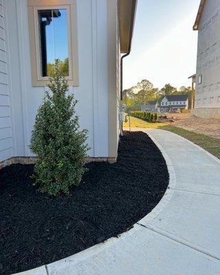 Black designer mulch