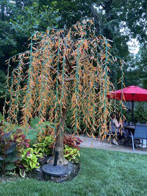 The best patio around, including this outrageous fake tree.