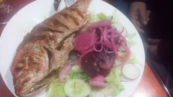 Fried red snapper with salad and tostones.