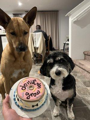 they ended up loving the cake!