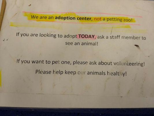 The shelter is not a petting zoo. But volunteer and you can pet and play with as many animals as you want to!