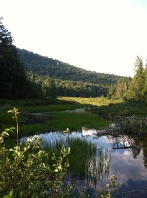 Adirondack Saddle Tours