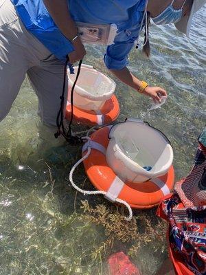 Biscayne Nature Center