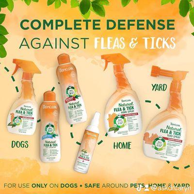 All Natural Flea & Tick Products.