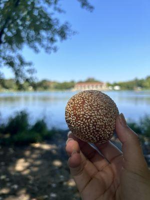 Sesame ball