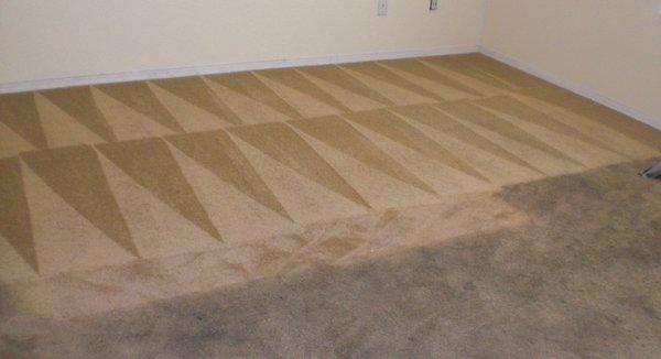 Carpet Cleaning