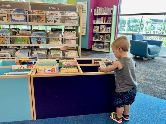 Low bookshelves for board books