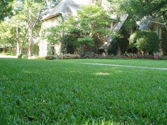 Organic lawn fertilization, pest control, Dallas