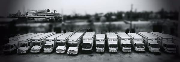 Excellent quality movers fleet.