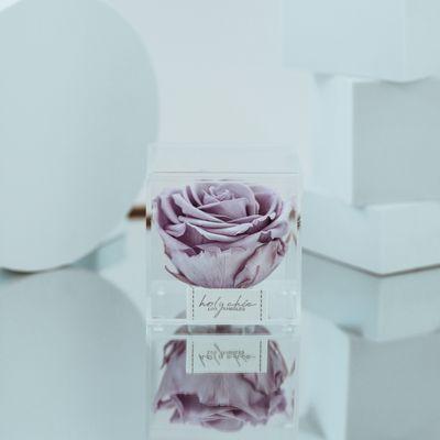 Acrylic Box with a single preserved rose in Lavender of Provence shade