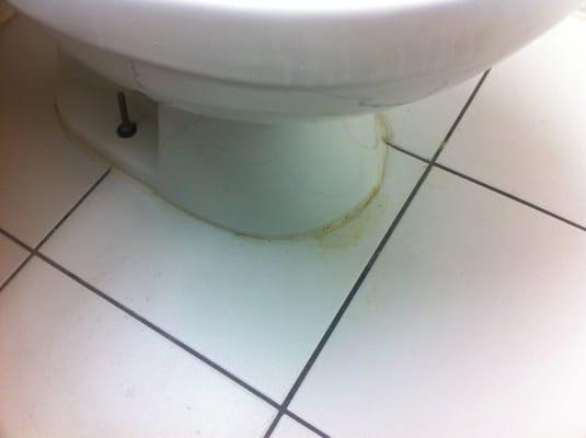 Pee around toilet