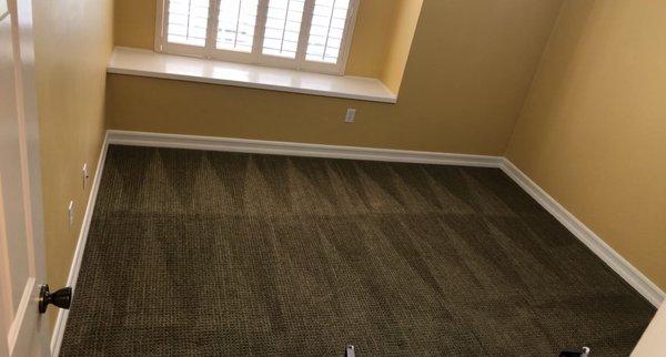 Carpet Cleaning