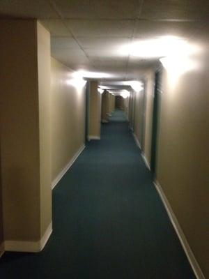 Dorm like hallways