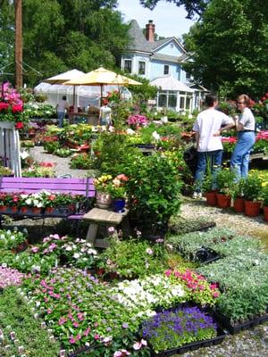 Heather Hill Gardens in spring