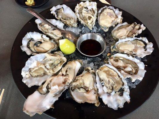 Dozen oysters for $12