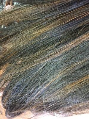 Dana's  highlights she gave me