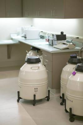 IVF Laboratory