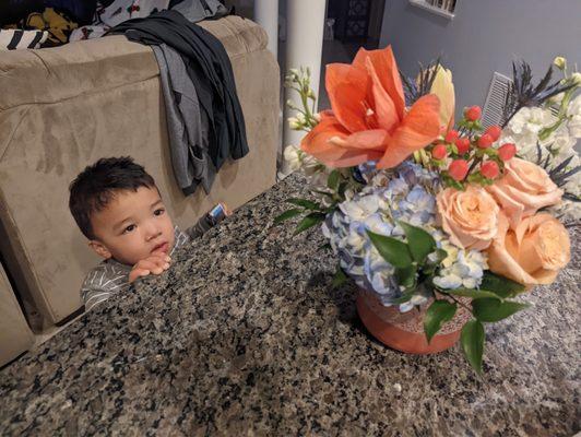 Grandson admiring the new arrangement