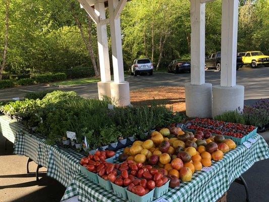 Farmers Market At the Village At Robinson Farm