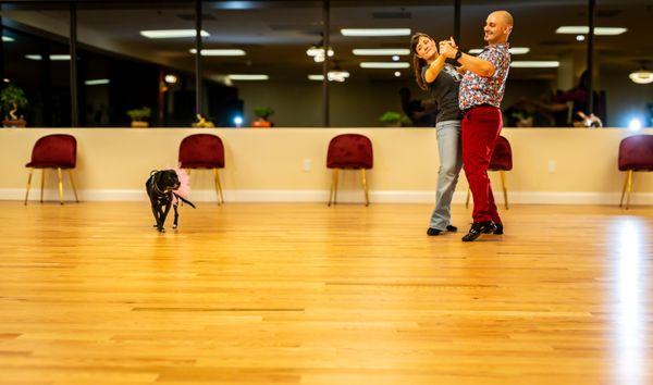 Whether you are interested in dancing social socially, competitively, or for an event (like a wedding) we have private lessons just for you!