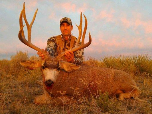 Trophy Mule Deer Hunts