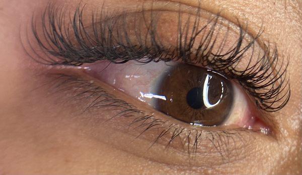 Classic lash extensions