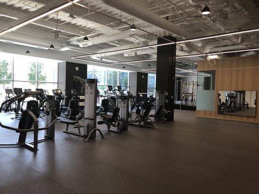 Studio 350 LifeStart Wellness