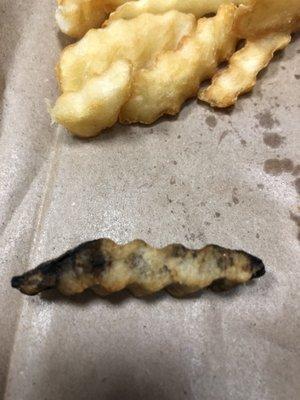 Was this supposed to be a French fry?