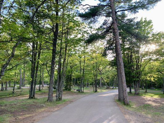 This is the setting for the East Campground at Fort Wilkins. I liked it here.