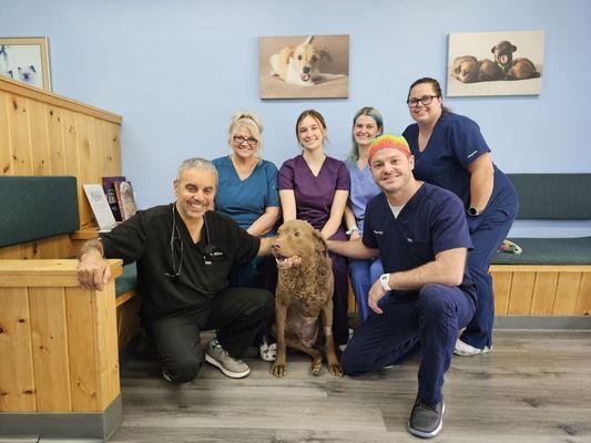 HCAH team celebrating a big win with Chevy at her 1 week recheck after remove a 18 lb splenic tumor.