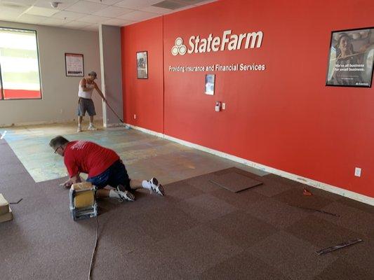 Sunshine Carpet And Floorcovering Warehouse