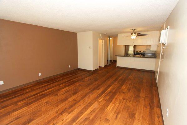 Living Room & Kitchen