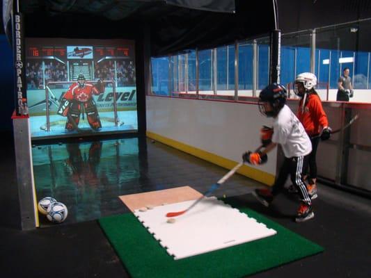 Next Level Hockey and Sports Performance