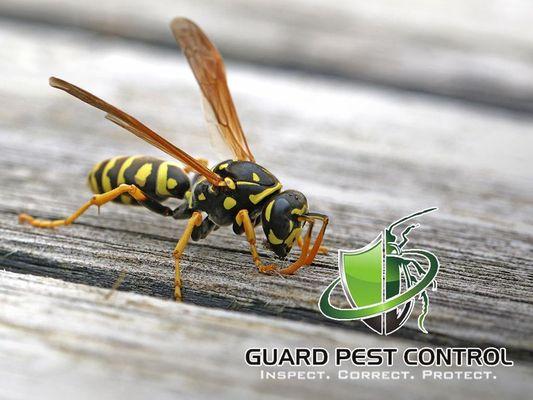 Guard Pest Control