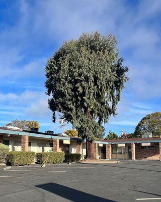 Chaney Family Dentistry - Vallejo - Exterior