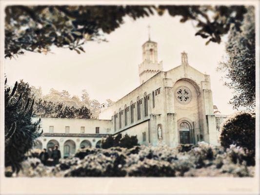 Carmelite Sisters