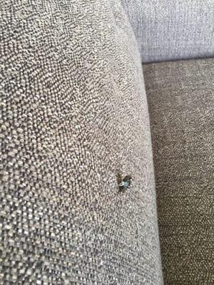 Bad quality sofa.