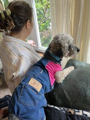 Cubbie's first Easter . He loves his clothes.