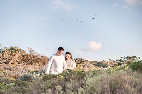 Birds flying, a couple