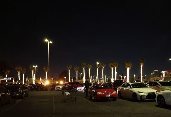 Lighting on palm trees